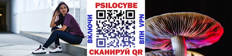 где найти наркотики  Бабаево  Галлюциногенные грибы Psilocybine cubensis 